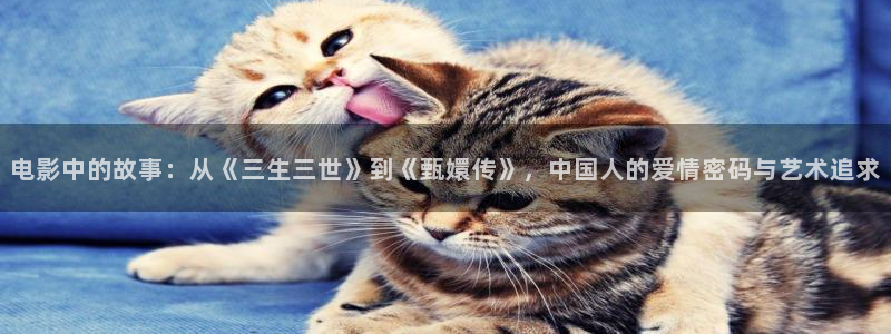 关于大熊猫的电影